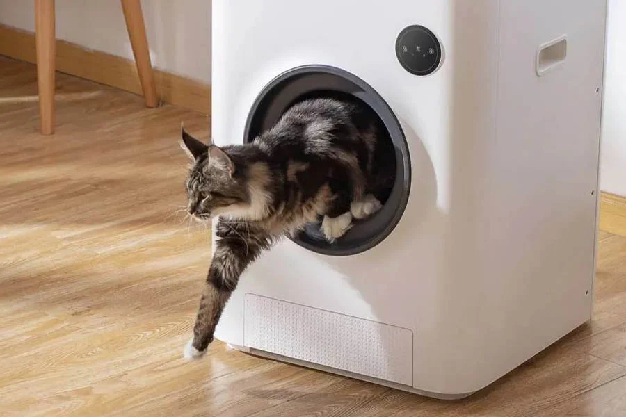 best automatic litter box for multiple cats